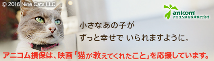 アニコム損保は、映画「猫が教えてくれたこと」を応援しています